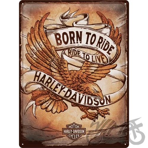 Tablica plakat 30 × 40 Harley-Davidson born 23317
