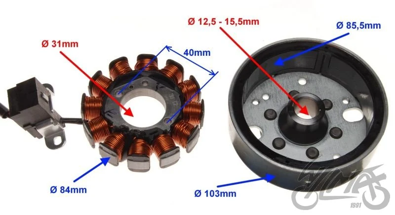 Stator 12 cewek do Vespa ET4 50 / LX50 / S50 — ujęcie 2
