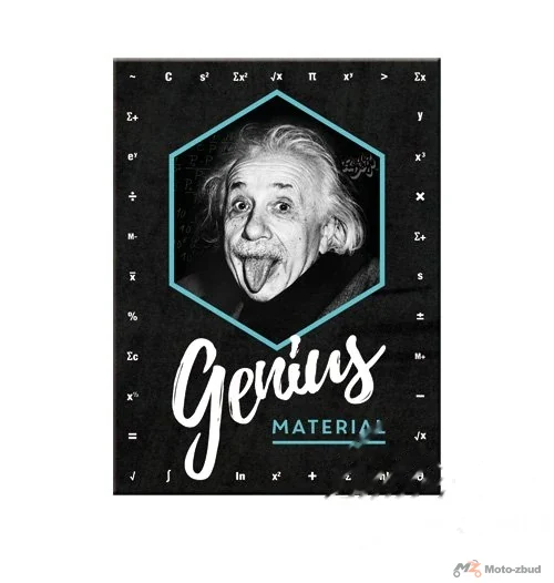 Magnes einstein genius MATERIAL14395