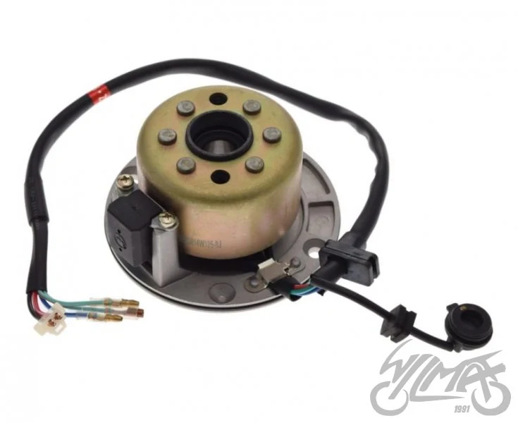 Stator zapłonu + koło magnesow silnik ZS154FMI-2 — ujęcie 1
