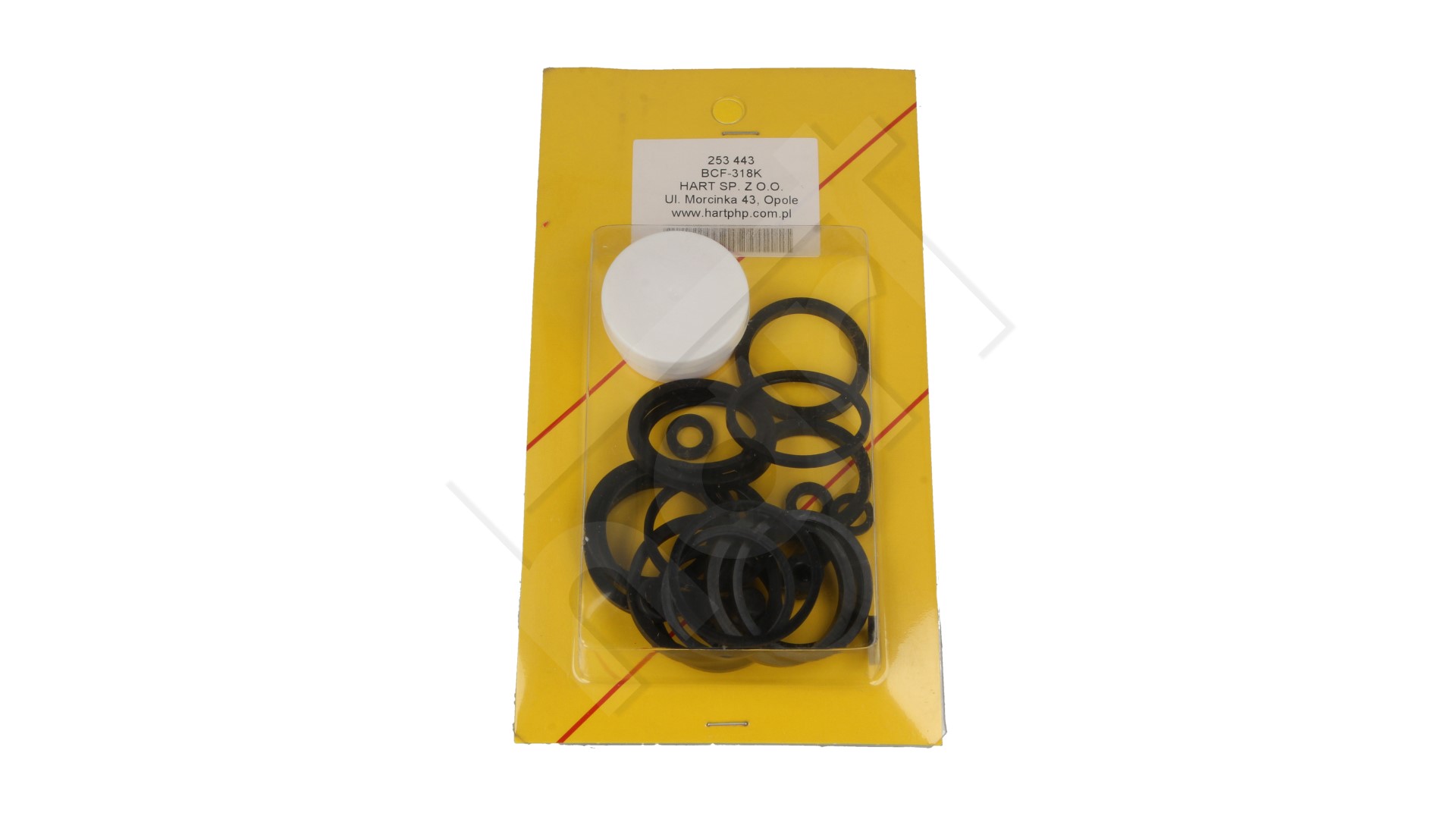 Zestaw naprawczy zacisku hamulcowego Suzuki GSX MLINE BCF-318K