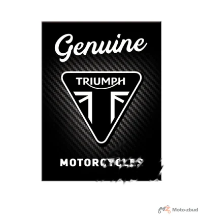 Magnes Triumph genius motorcycles 14414