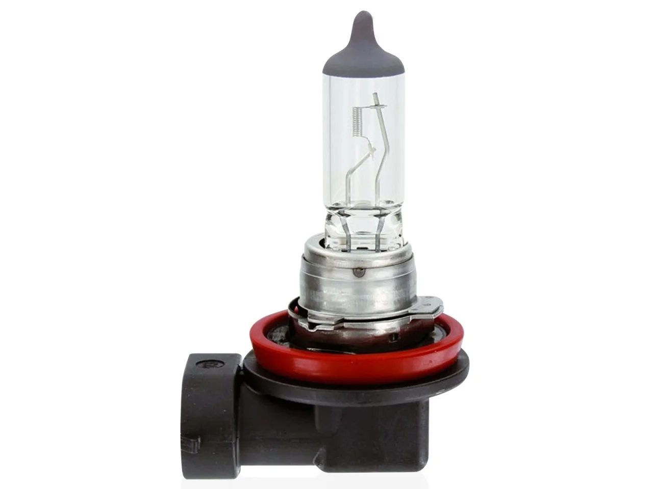 Żarówka H11 12V 55W Amio filtr UV (1szt.) — ujęcie 5