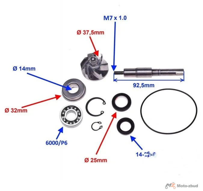 Zestaw naprawczy pompy wody — Honda SH / Chiocciola 125/150 — ujęcie 2
