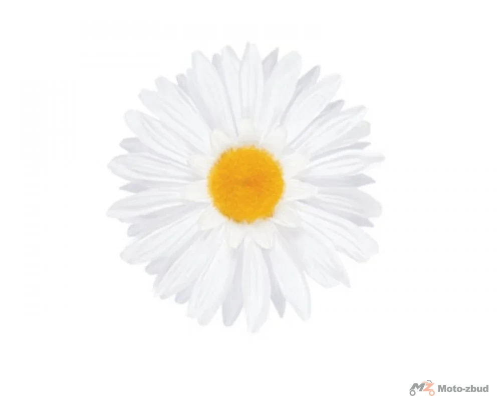 Electra kwiatek white daisy 527593