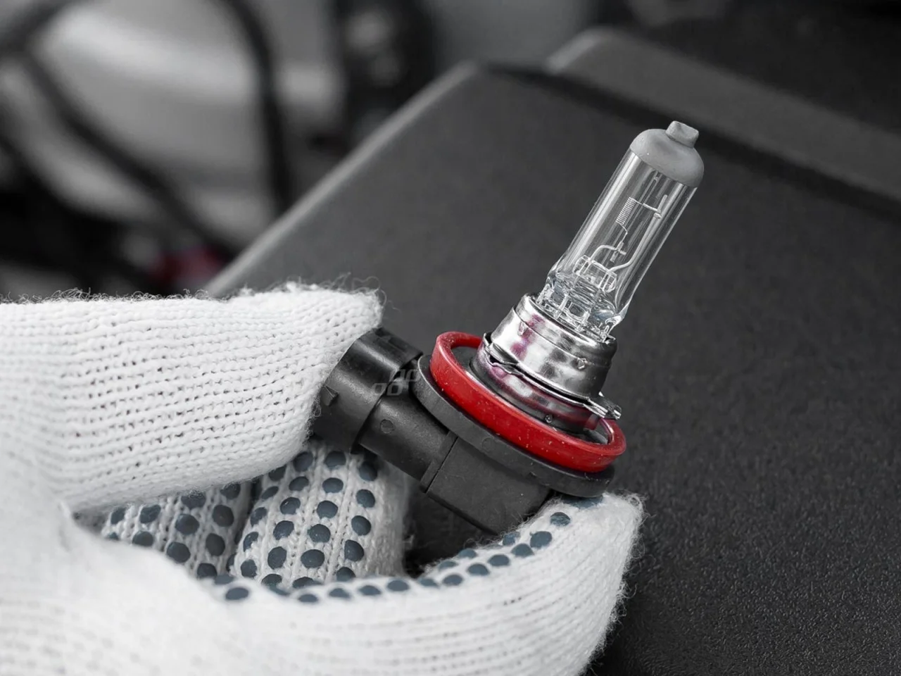 Żarówka H11 12V 55W Amio filtr UV (1szt.) — ujęcie 7