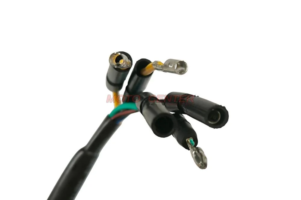 Stator + magneto 6 cewek 5 przewodów 140 cm³ Pitbike Cross Quad ATV MRF 4T YX140 — ujęcie 4