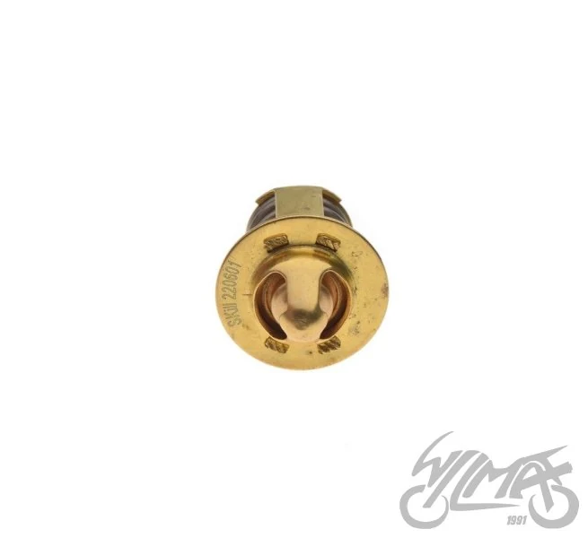 Termostat cieczy AM6 50CCM — ujęcie 3