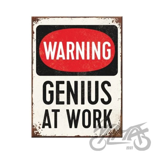Magnes genius at work 14352