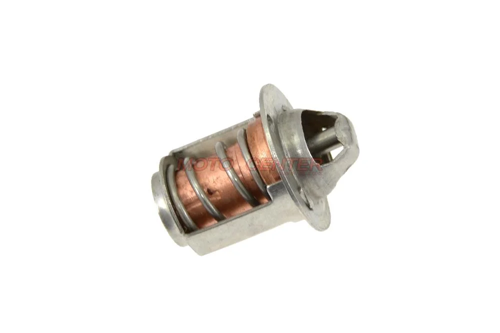 Termostat AM6