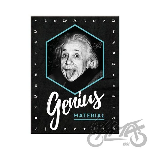 Magnes einstein genius MATERIAL14395
