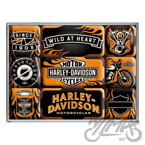 Magnes Harley-Davidson wild 9 szt. 83096