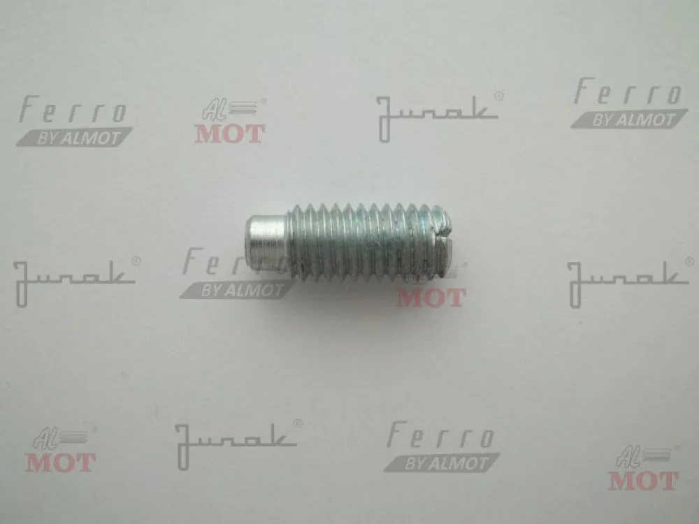Śruba regulacji sprzęgła M8 × 20 MZ-ETZ 150