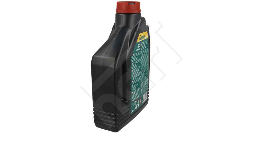 Olej MOTUL garden SAE 30 4T 2 l MOTUL 100053 — ujęcie 10