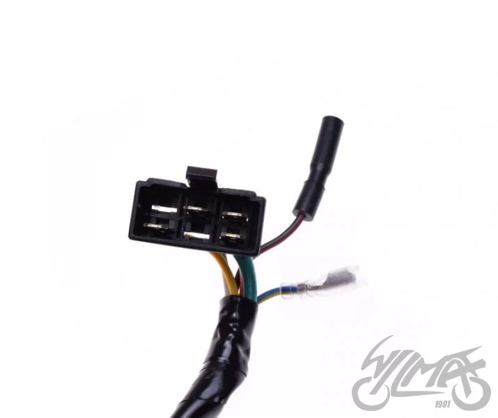 Stator 6 cewek do Honda Dio — ujęcie 3