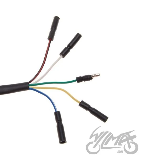Stator iskrownik 2 cewki mini enduro 125 cc 4T — ujęcie 4