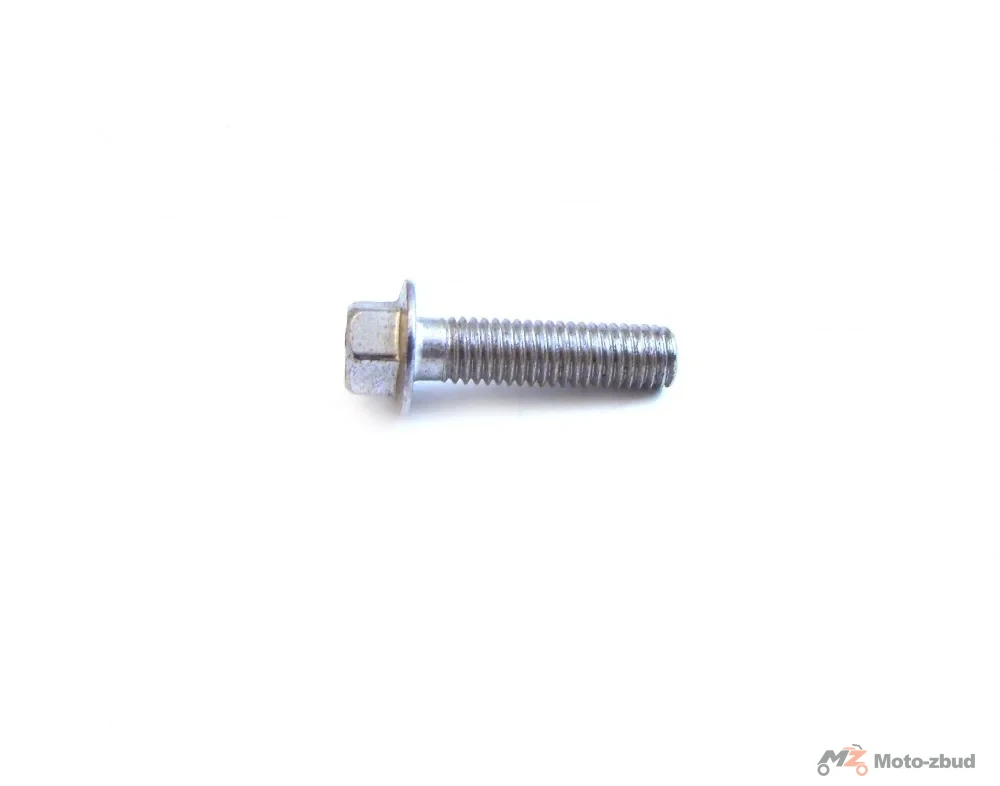 Ferro 801 śruba M8 × 30 — ujęcie 1